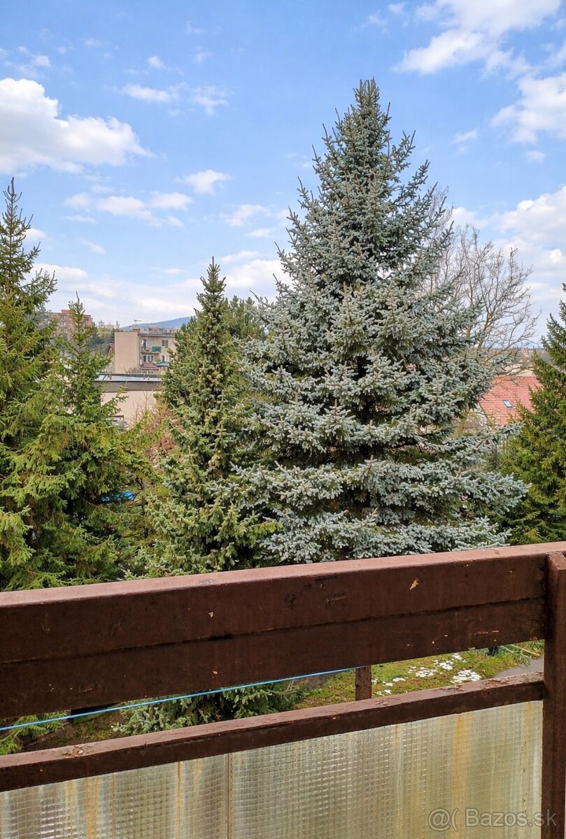 Predaj garsónka s lodžiou Bôrik-Žilina - 4