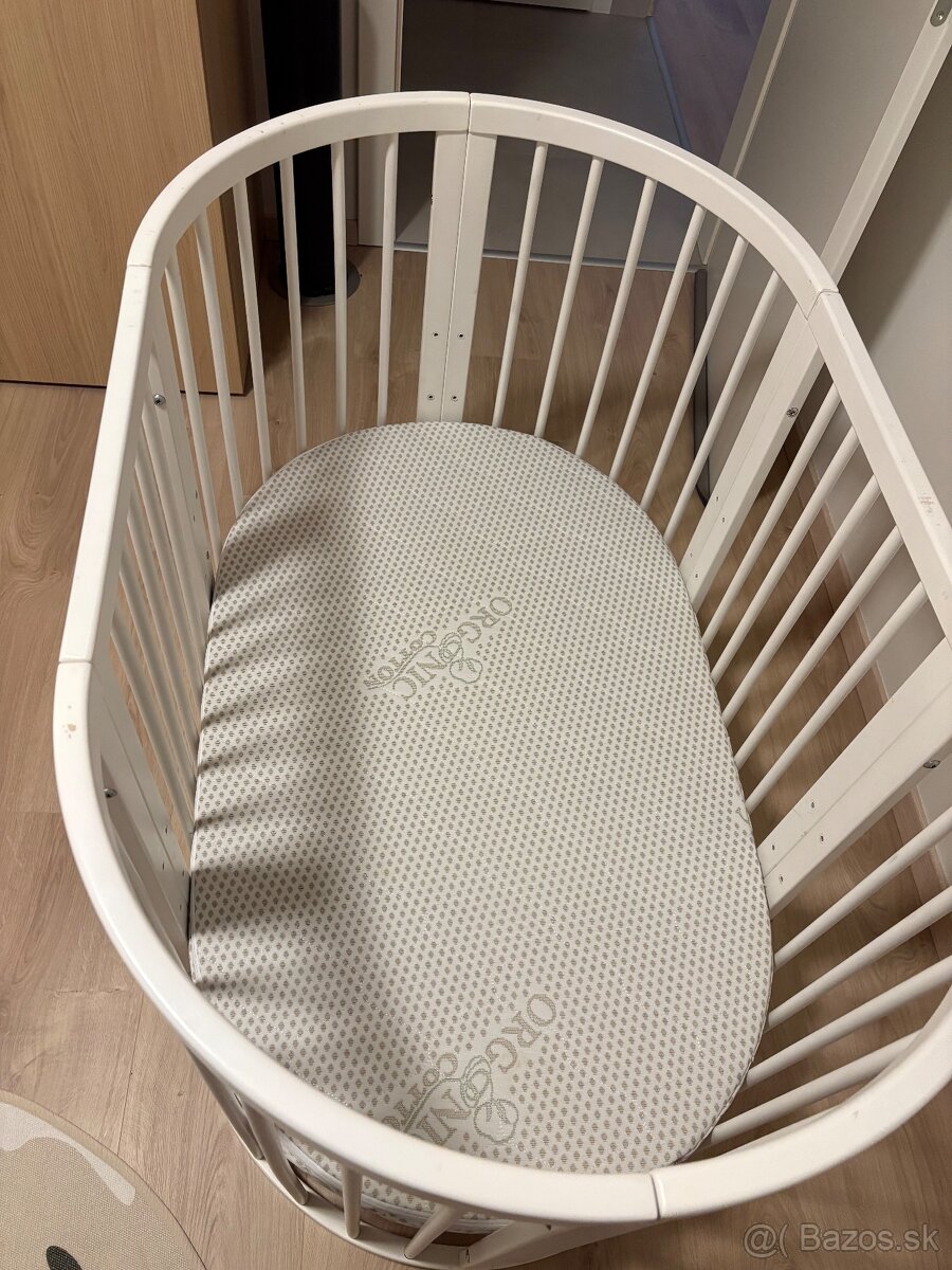 Rastúca postielka - 4