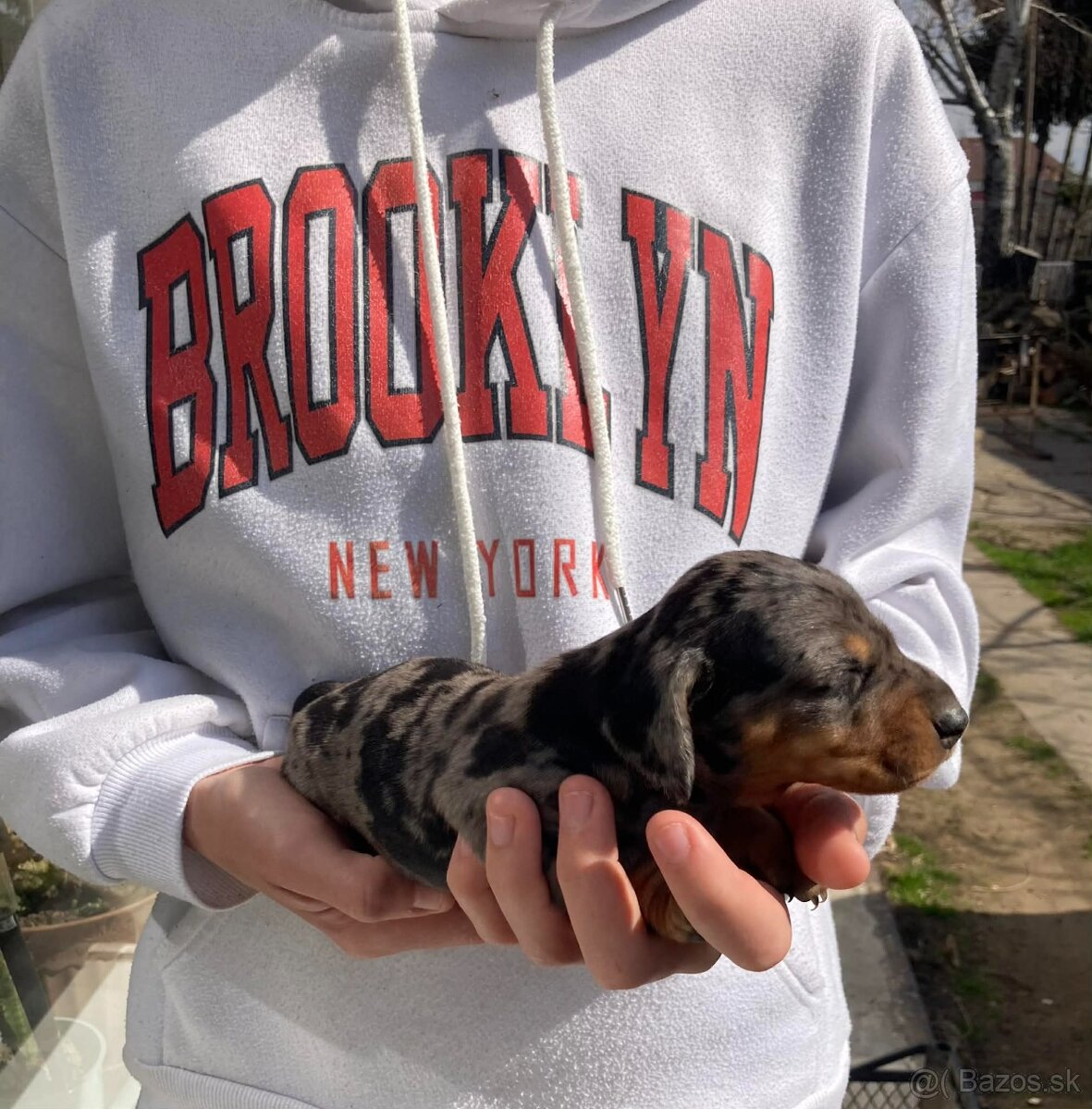 Jazveciky na predaj - 4