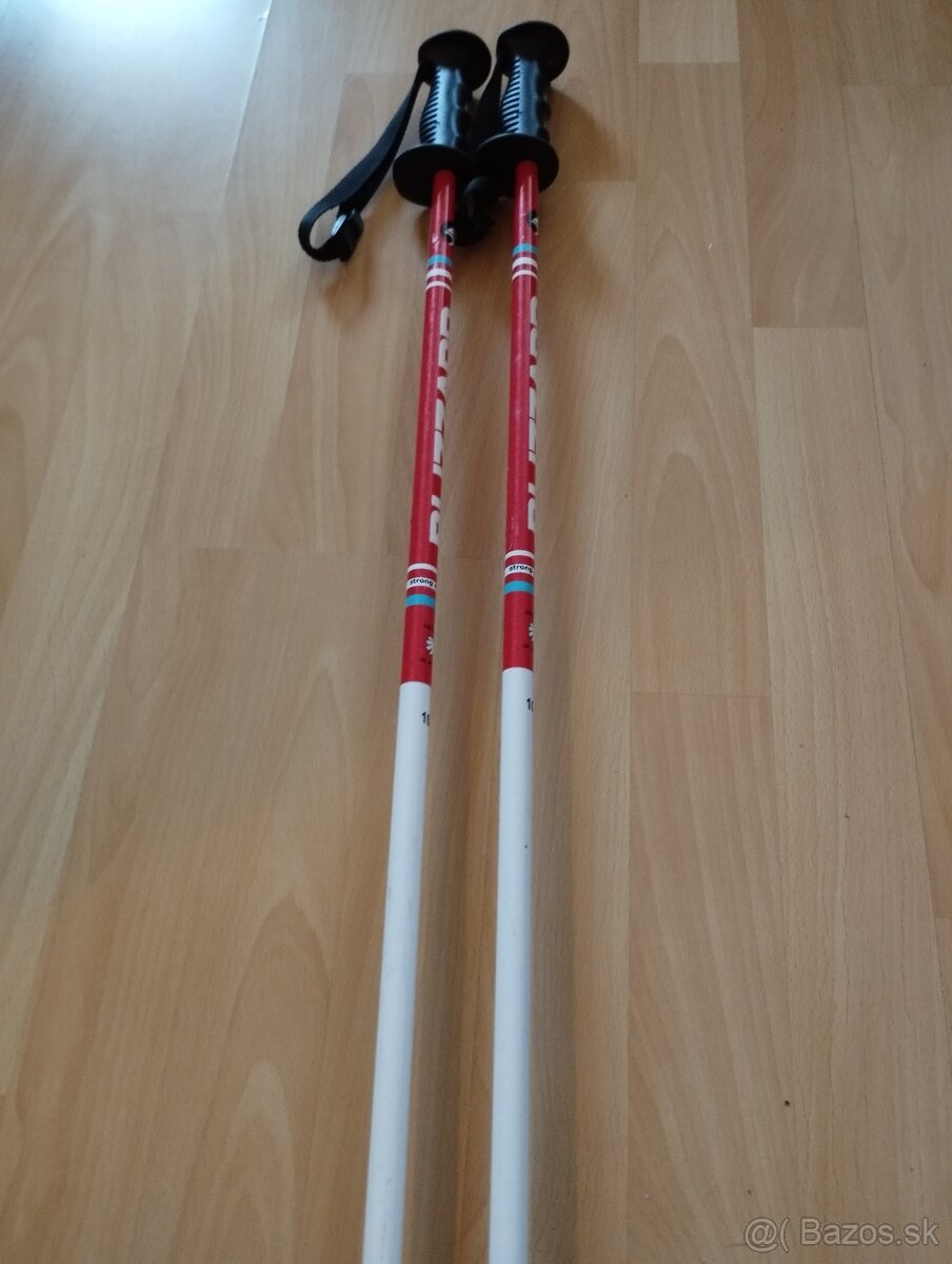 Predám detské lyže, lyžiarky a palice - 4