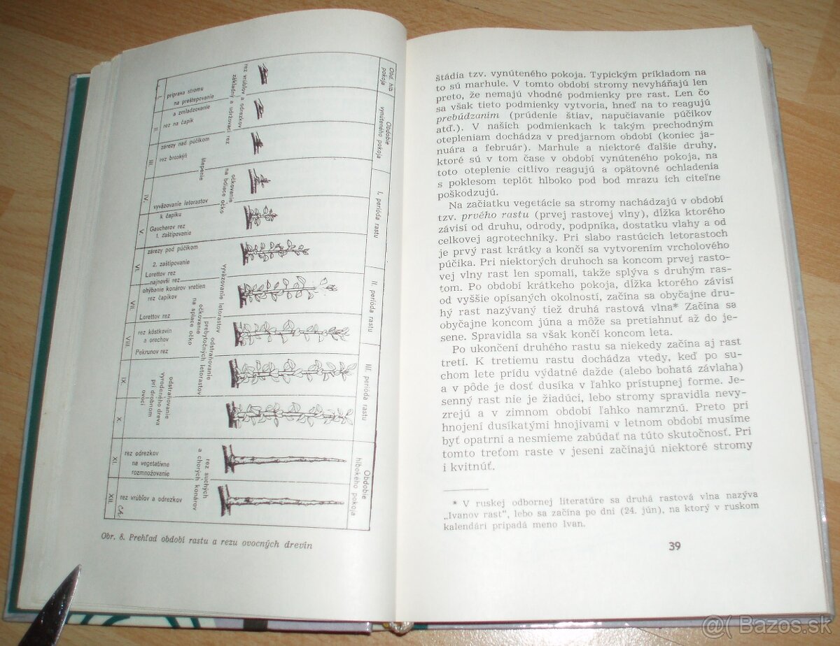 Rez a tvarovanie ovocných drevín - 4