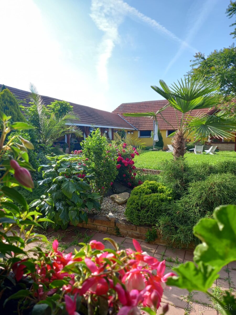 JEDINEČNÁ JAZDECKÁ FARMA V ÚPLNOM SÚKROMÍ - 4