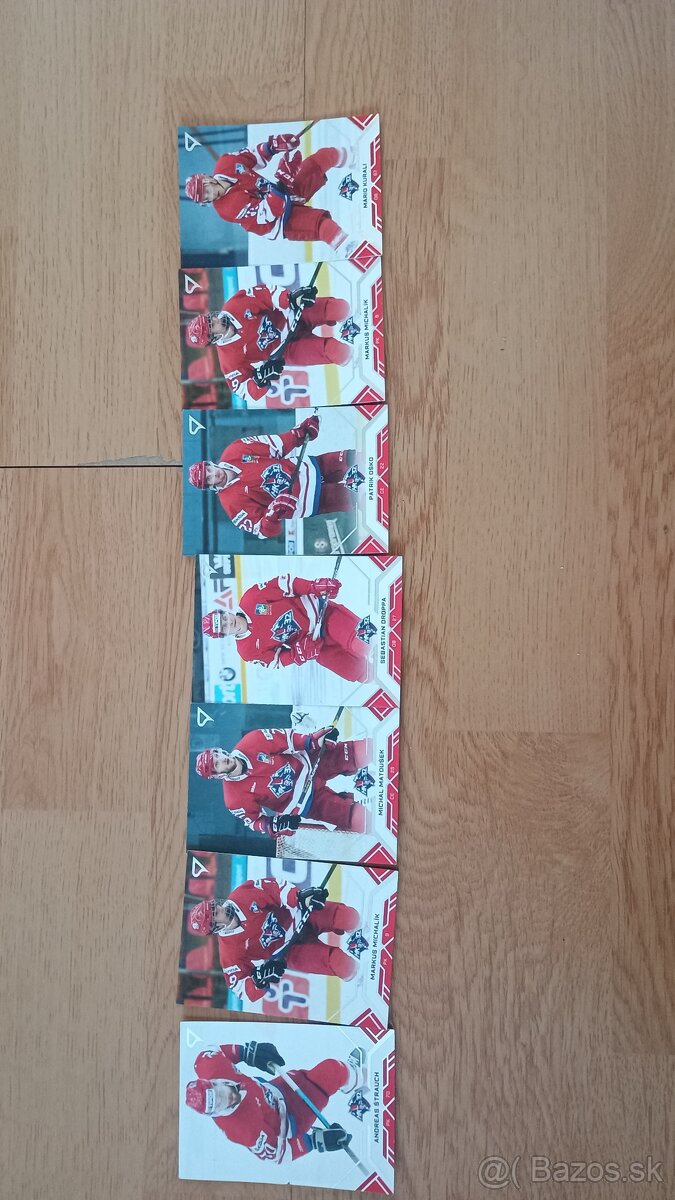 Hokejové kartičky Tipos extraliga 2020/21 - 4