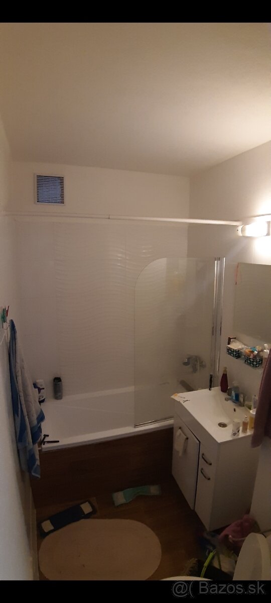 Na prenájom 2-izbový byt po kompletnej rekonštrukcii
- 4