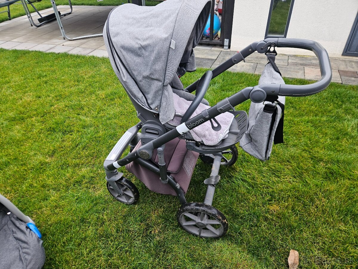 Darujem ROAN BLOOM - 4