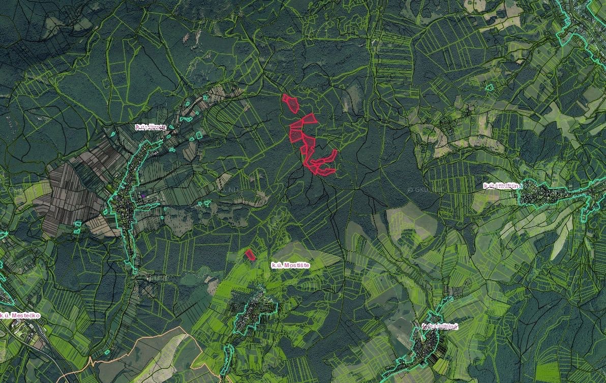 Mostište (Dohňany) – 14.537 m2 LESNÉ POZEMKY - 4