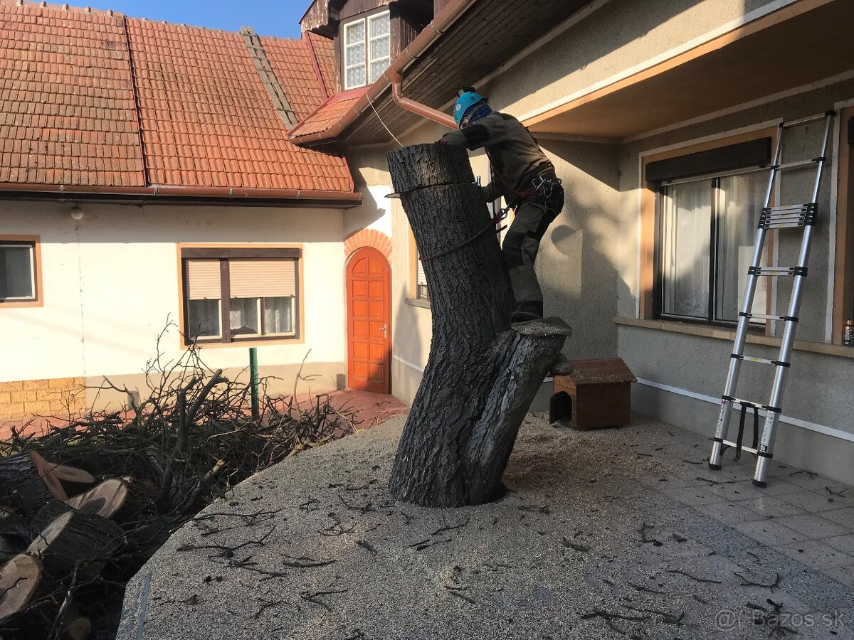 Pílenie stromov, arboristika, drtenie konárov - 4