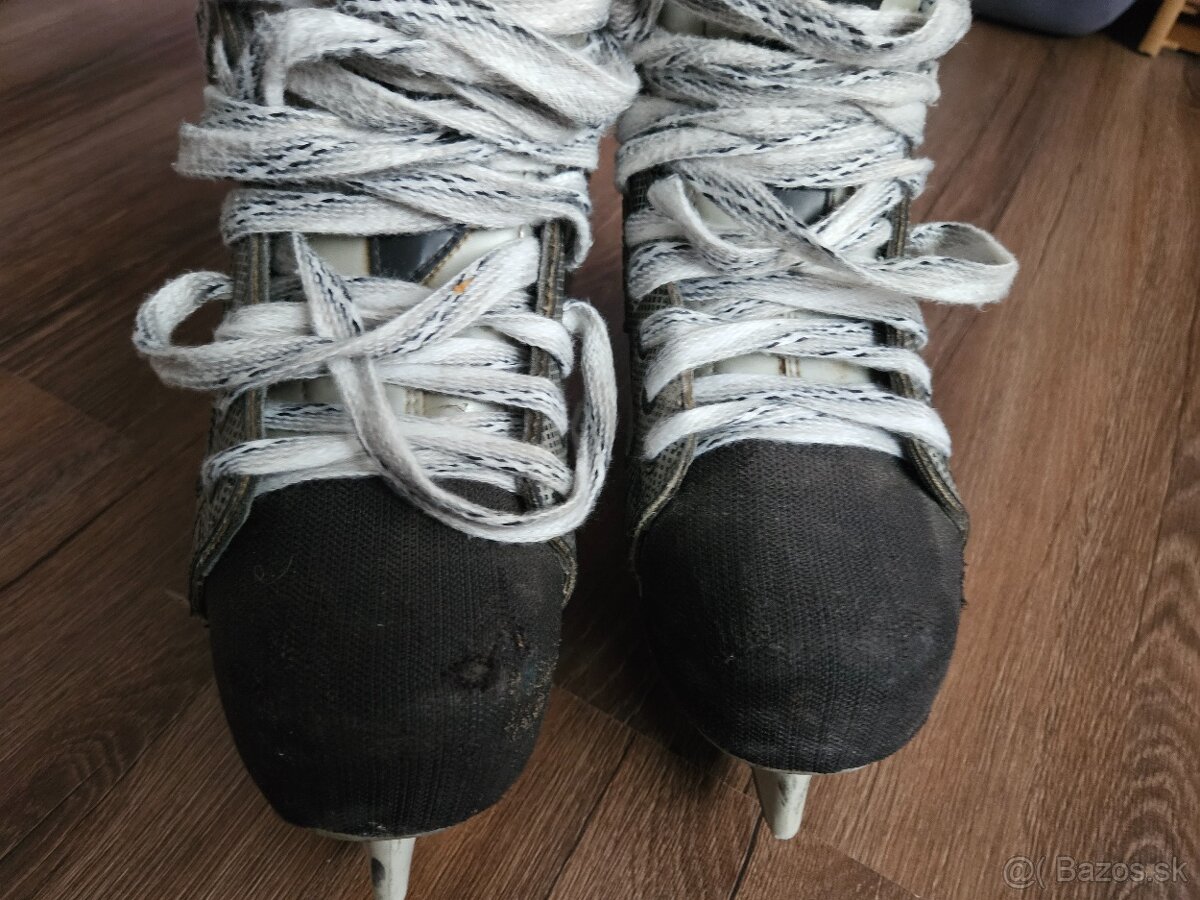 Korčule Bauer č.47 - 4