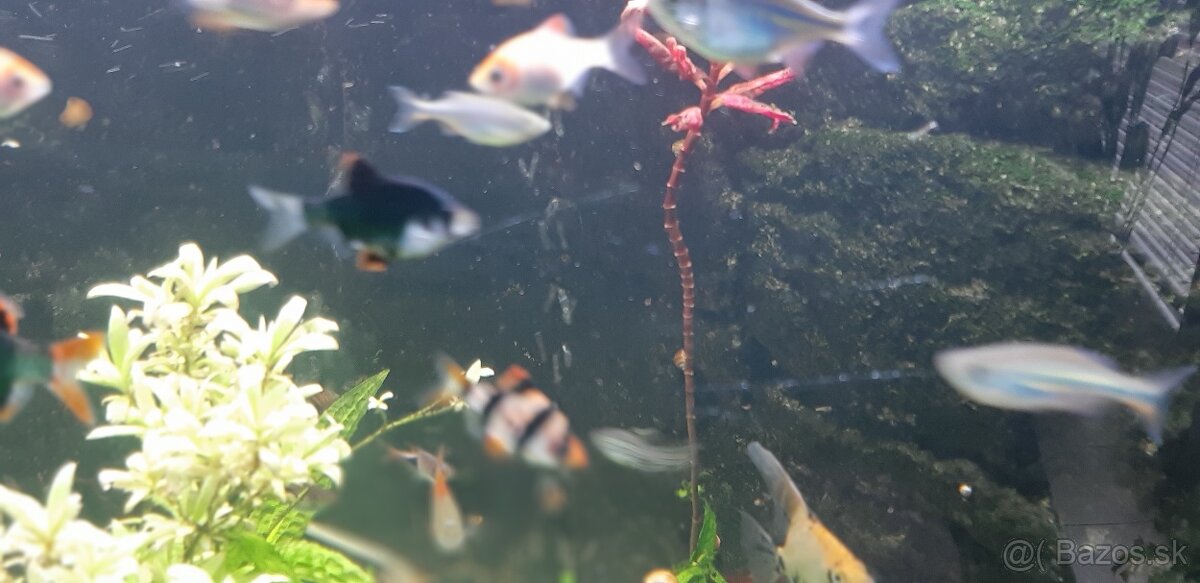 Akvárium Juwel 140 - 4