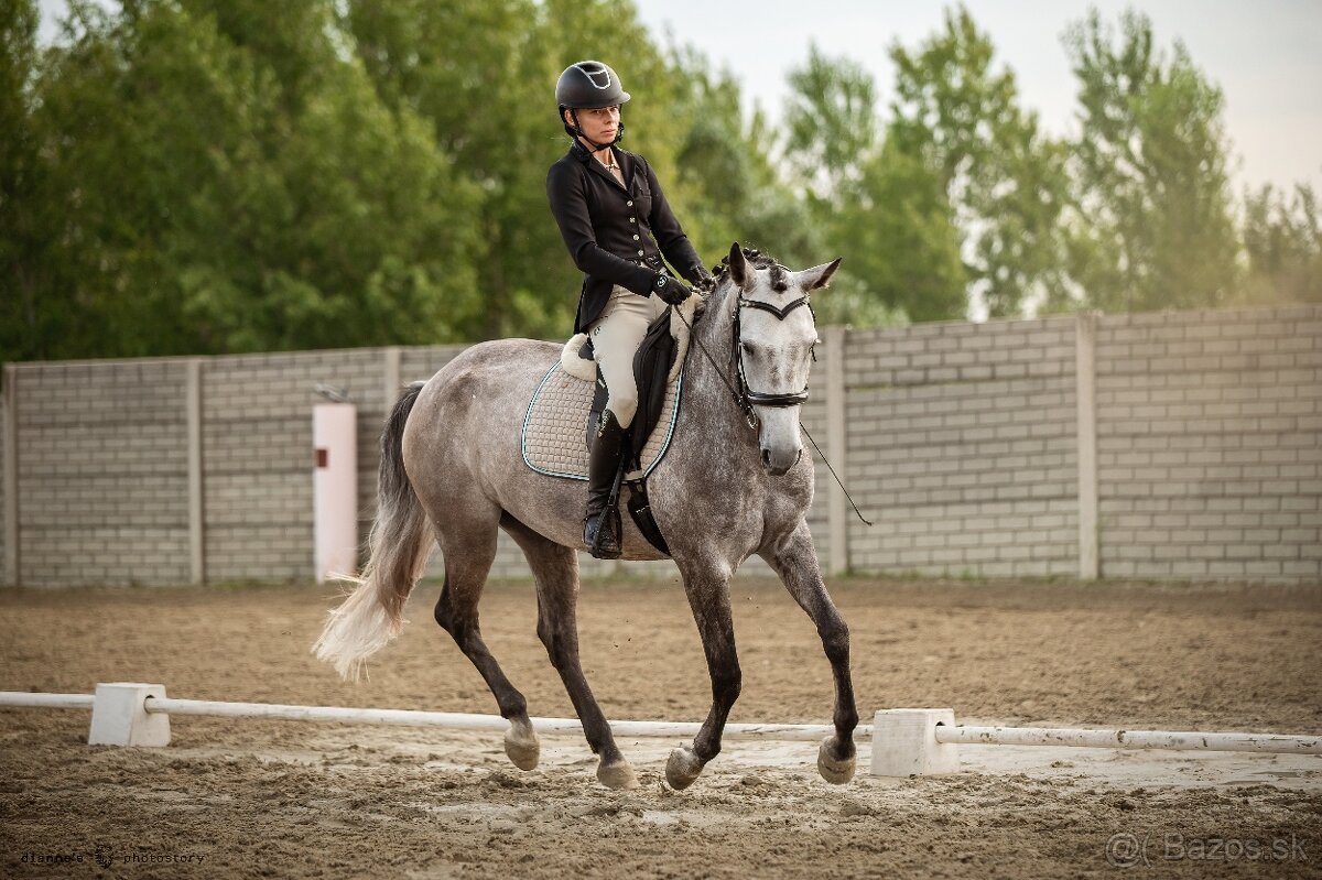 Working Equitation kobyla - 4