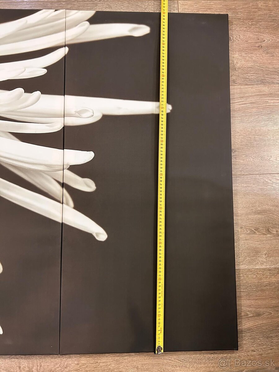 3-dielny obraz na stenu - 4