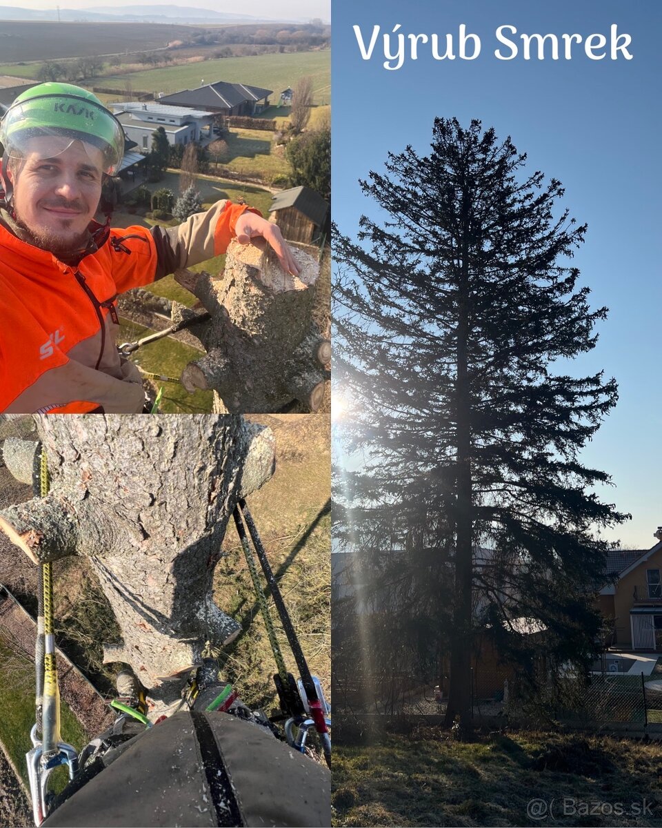Výrub stromov a rizikové pílenie stromov - 4
