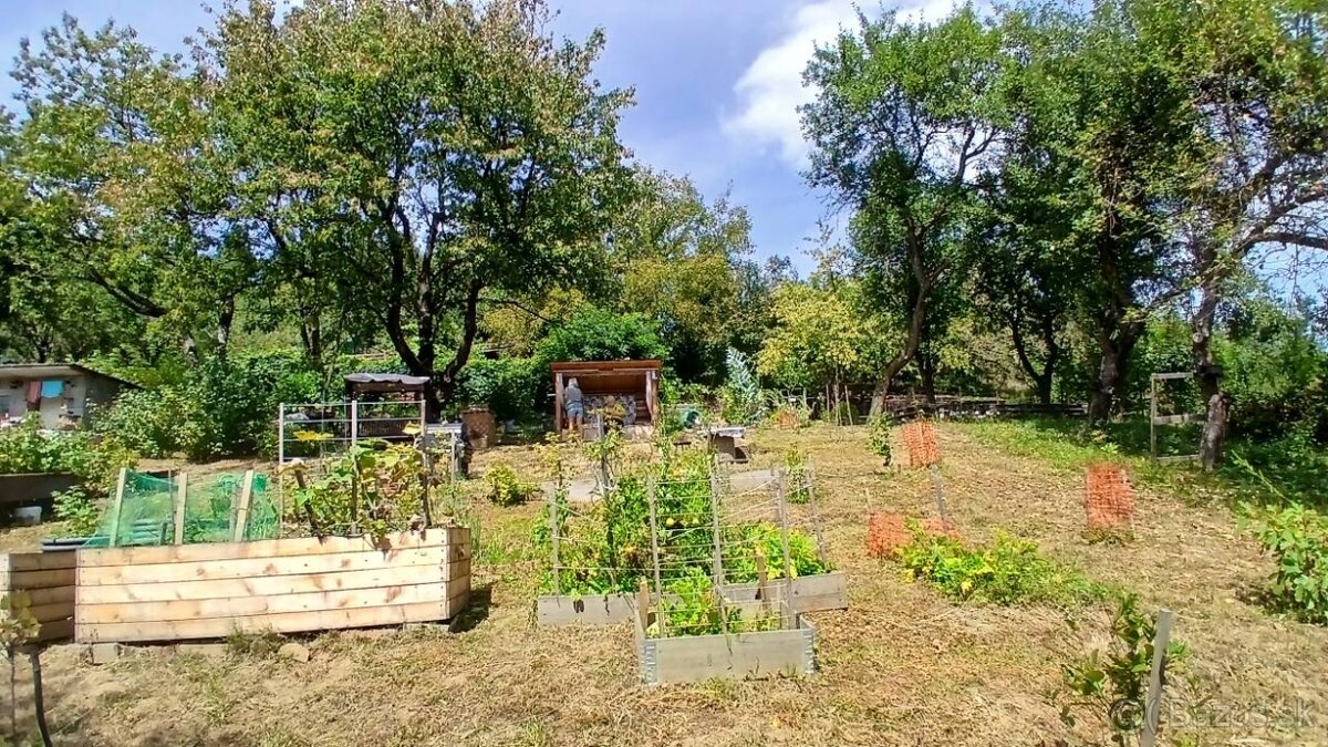 Záhrada s LV v PB- časť Jelšové - 4