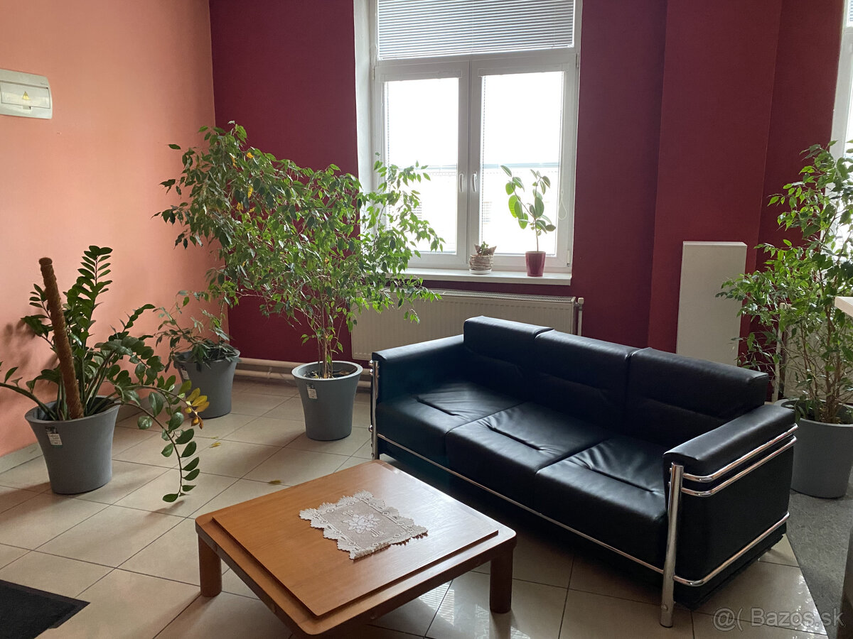 Kancelárske priestory : 73,5 m2, v širšom centre mesta - 4