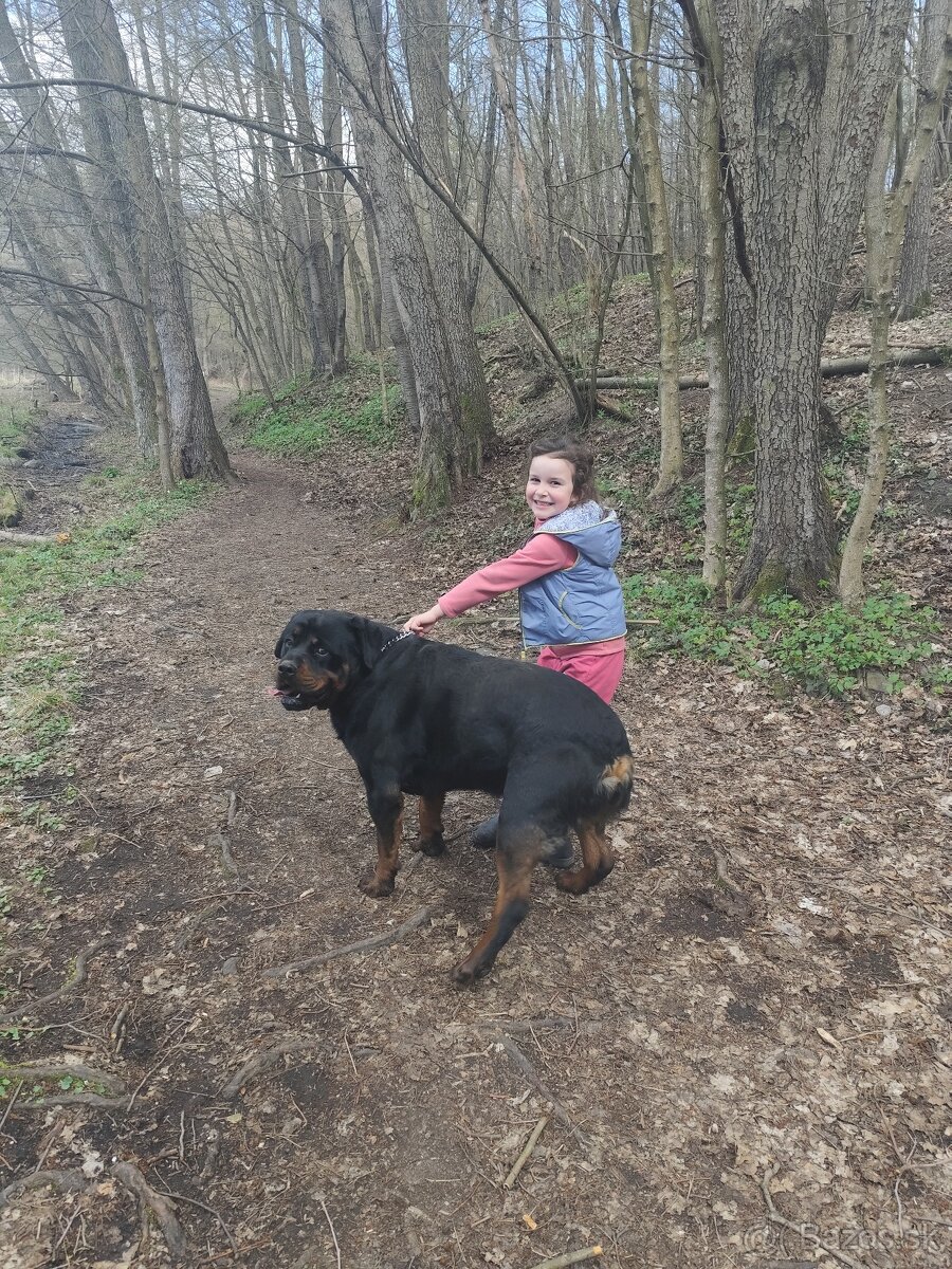 Rotvajler na krytie - 4