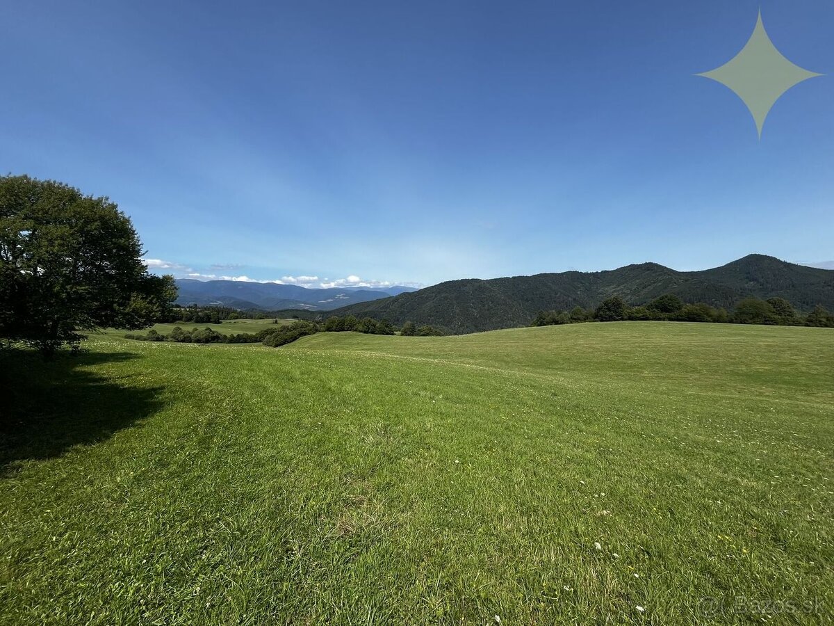 Pozemok 2400 m2 / samota s výhľadom / možnosť výstavby - 4