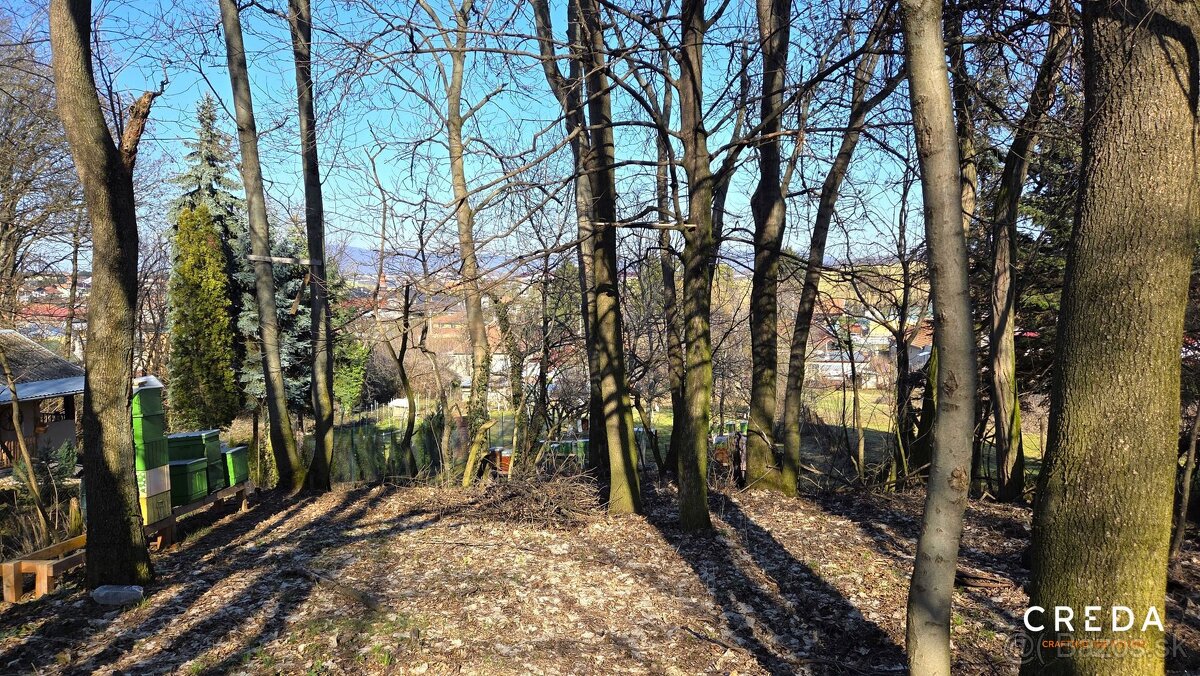 CREDA | predaj pozemok 2 478 m2, Veľký Lapáš - 4