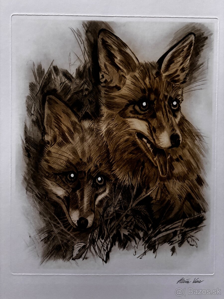 Ales Vaic - lesnicka tematiky - 4