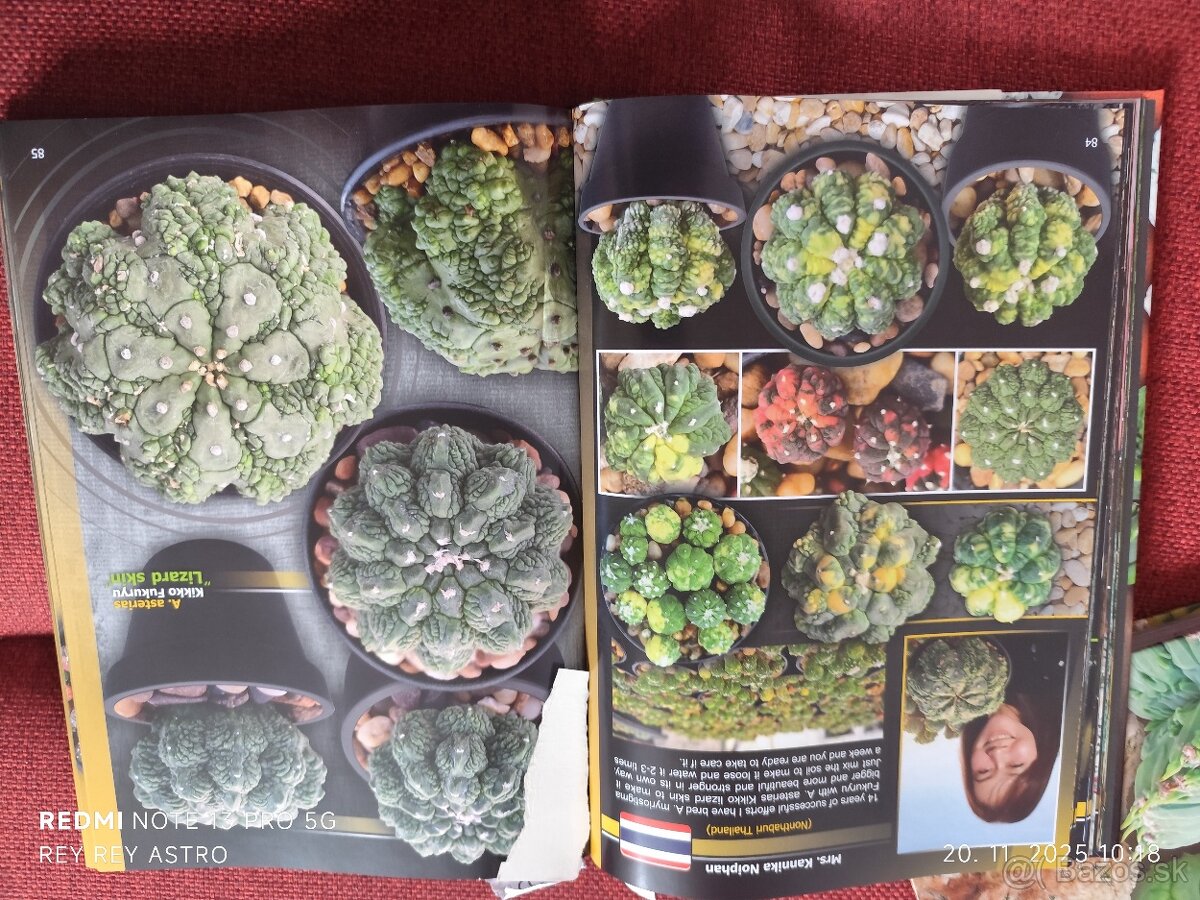 Ponúkam úžasnú knihy o kaktusoch. - 4