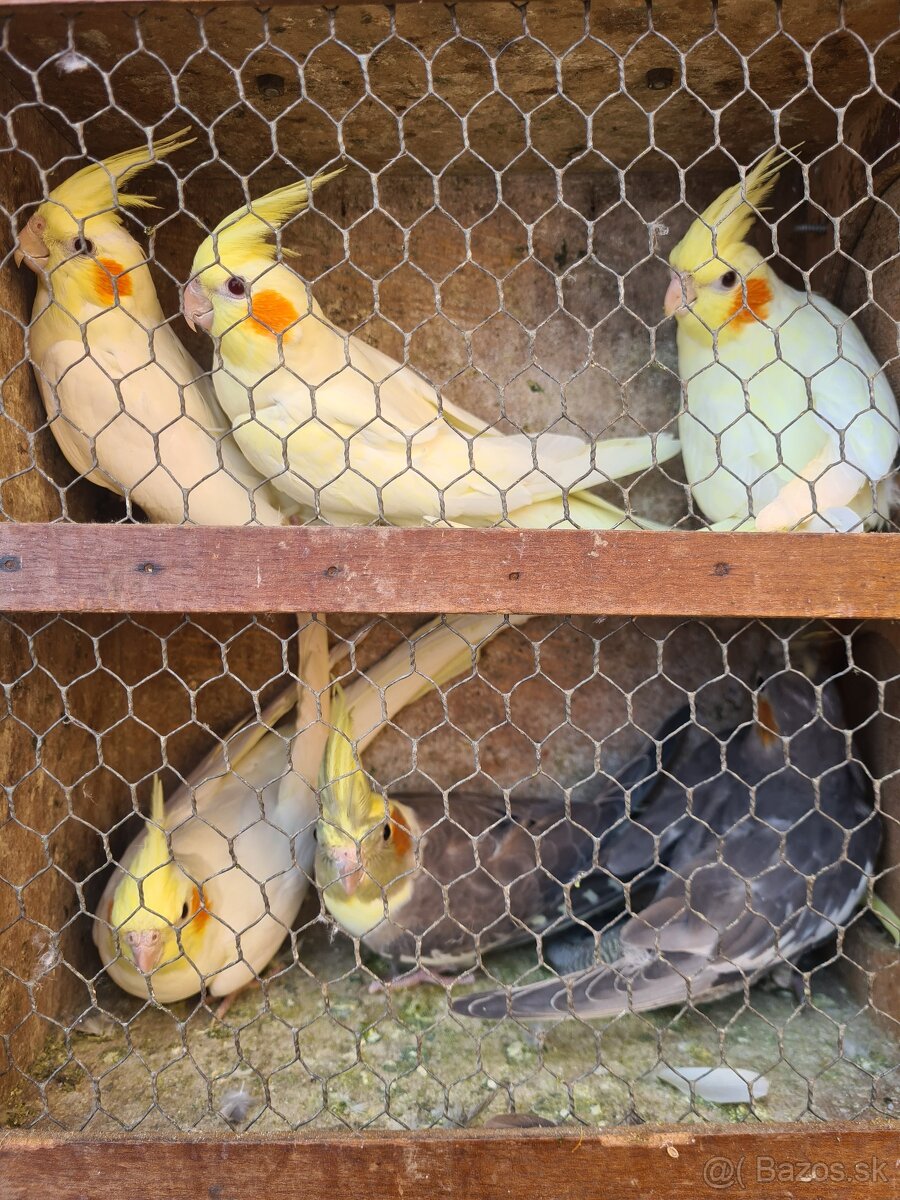 Horský pastel,penant - 4