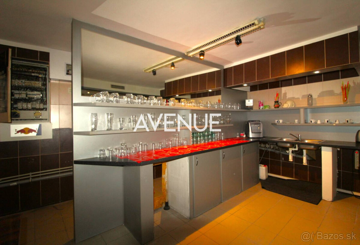 AVENUE I nebytový priestor v suteréne domu, Hálkova, BA III - 4