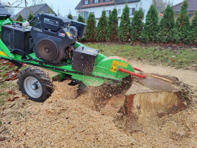 Frézovanie pňov,pňová fréza - 4