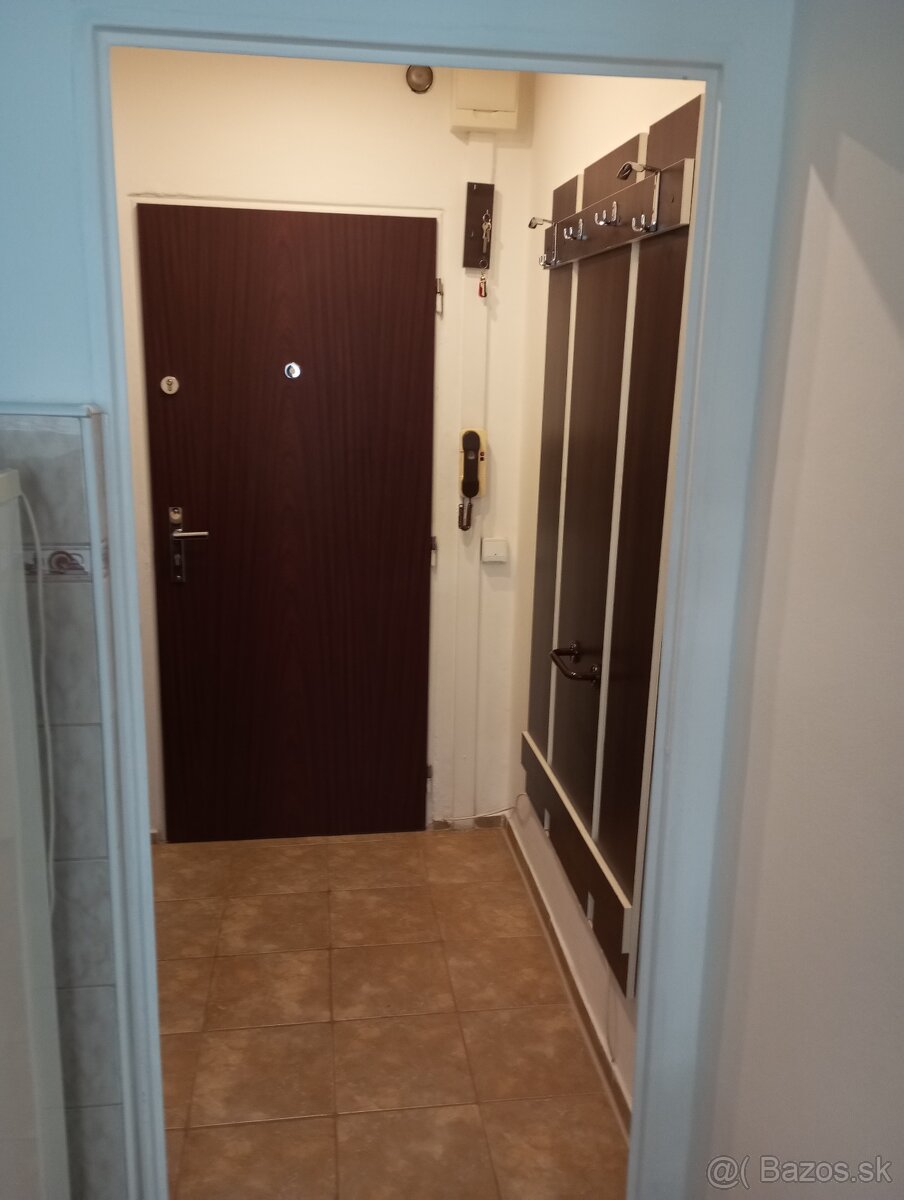 Prenájom 1 izbový byt - 4