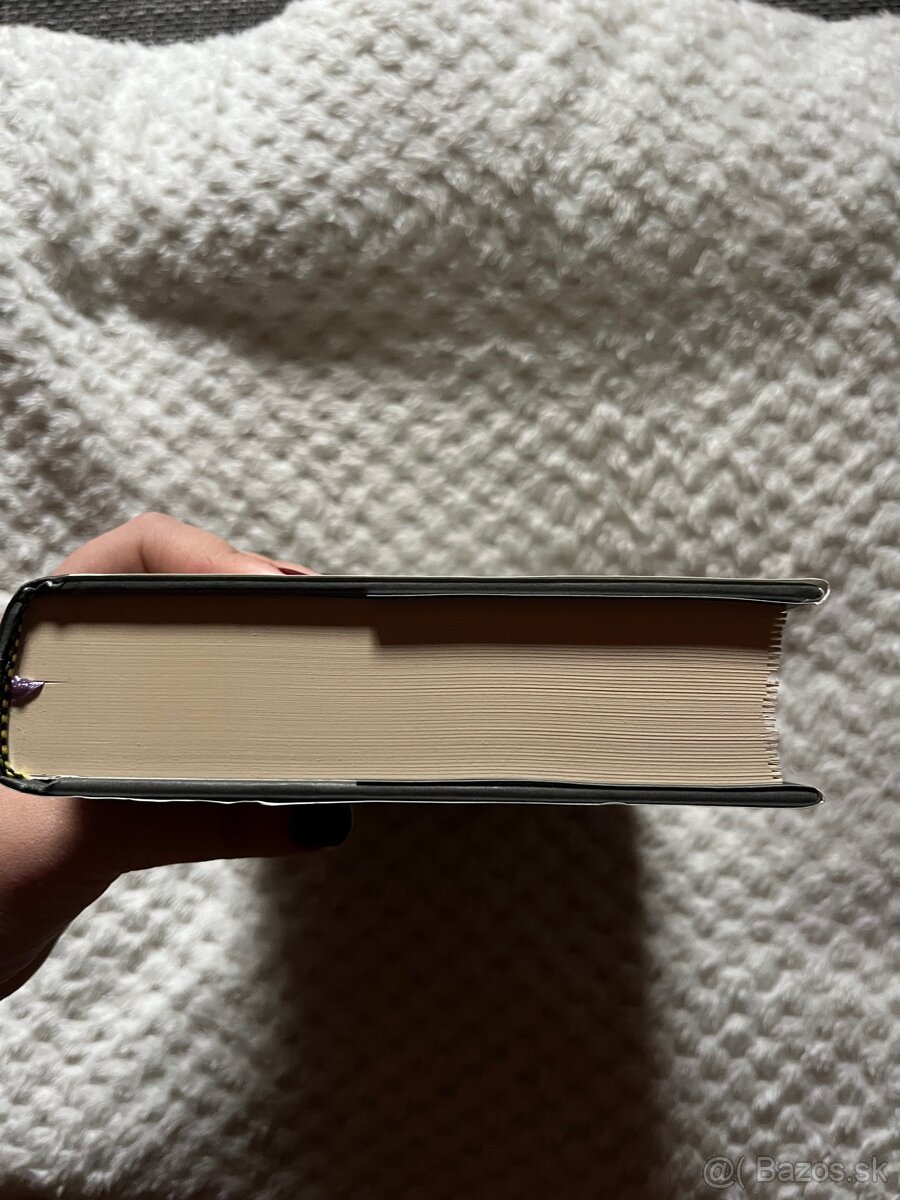 Kôň Przewalského - 4