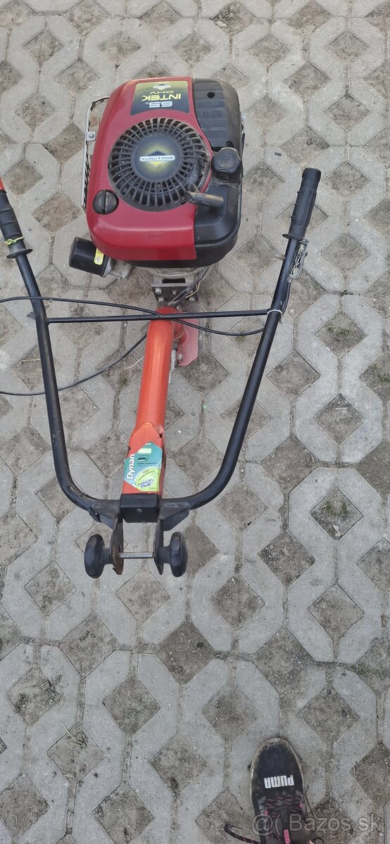 Briggs &stratton intekt - 4