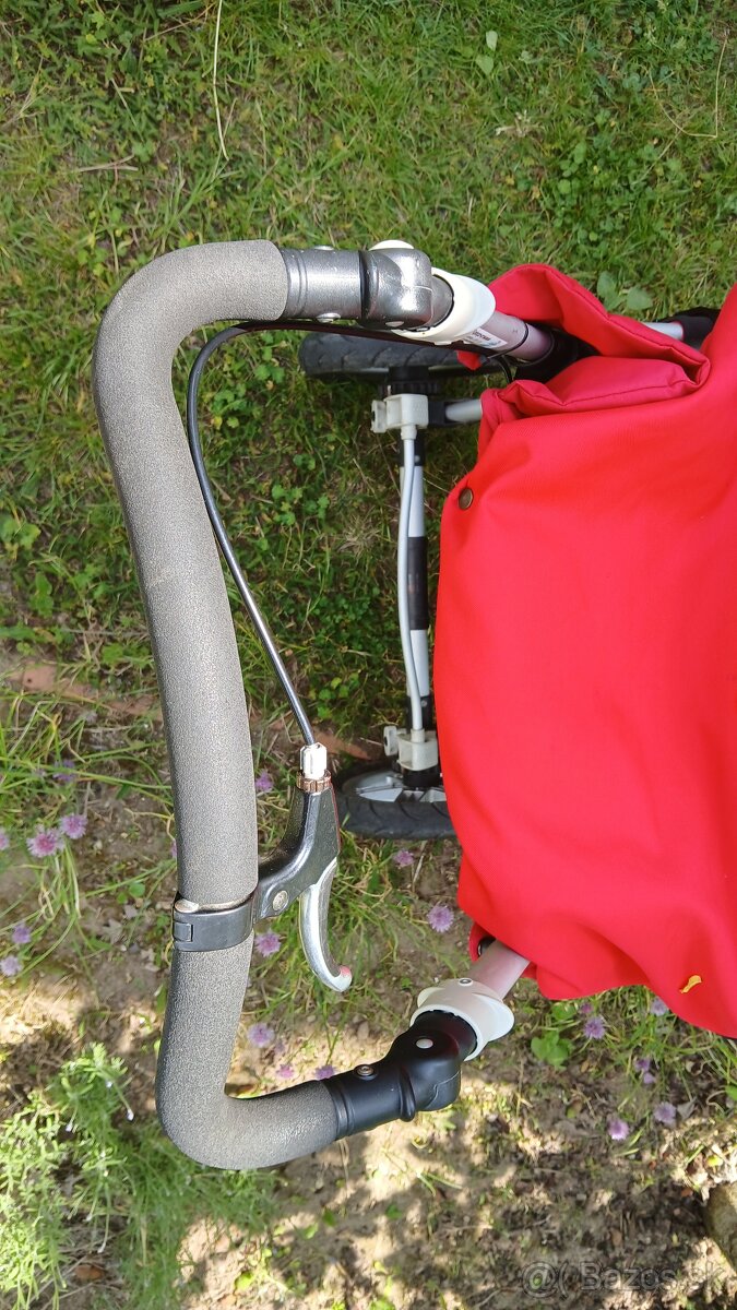 Sportovy kocik Jane - 4