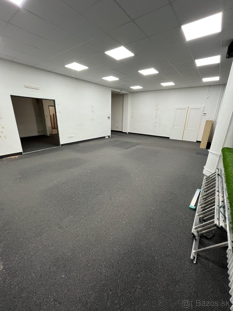 110m2 v cene 2parkovacie miesta Legionarska 43, TN - 4