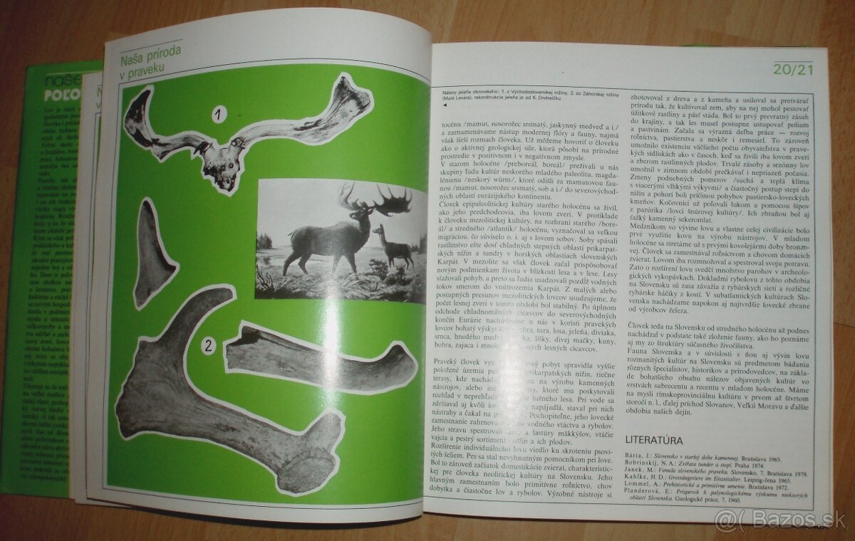 Naše poľovníctvo - 4