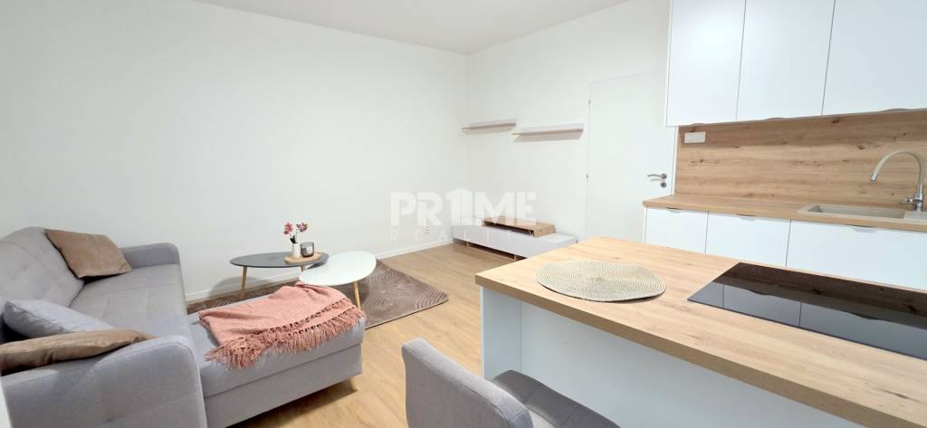 JEDINEČNÝ 2i byt, CENTRUM, REKONŠTRUKCIA, EUROVEA, Klemensov - 4