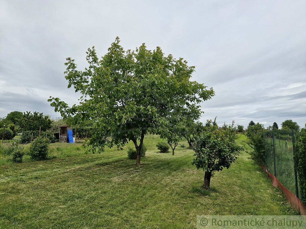 Záhrada s chatkou na Strážnom vrchu - 4