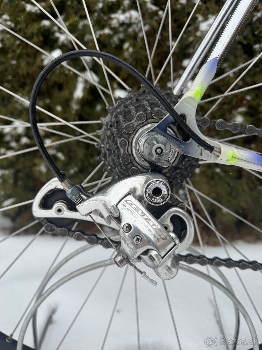 Colnago Tecnos Art Decor - 4