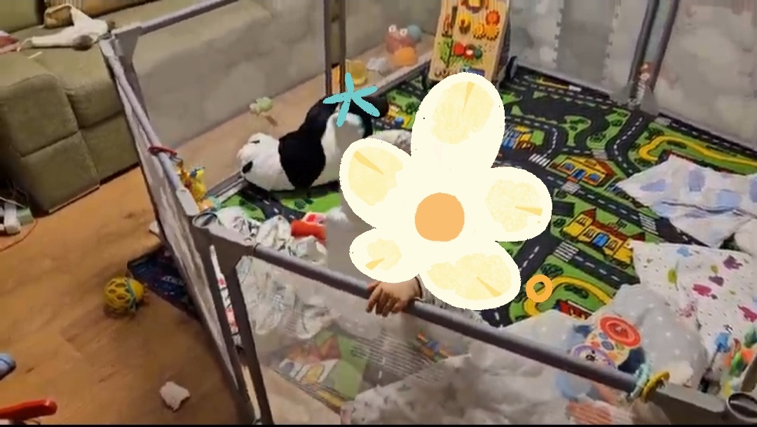 Ohrádka Skip Hop 2ks - 4