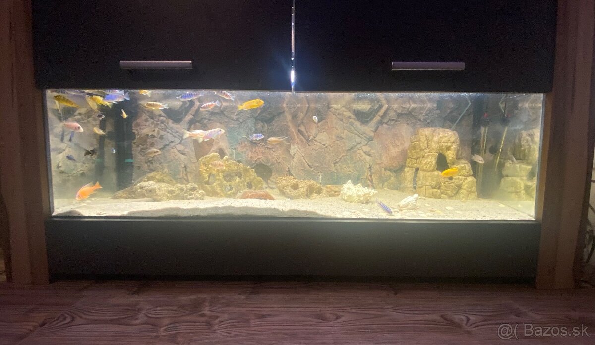 Set dvoch akvárií - 4