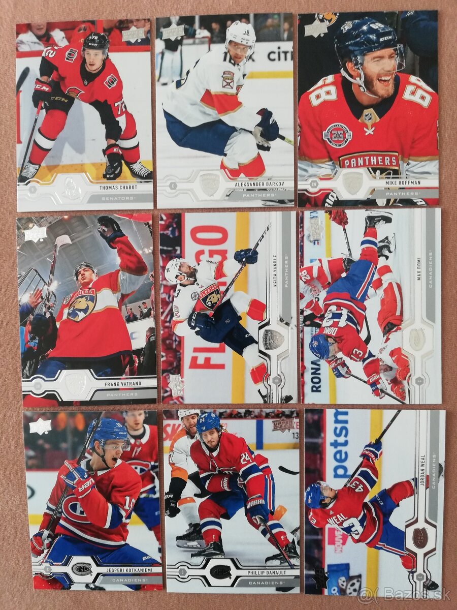 Hokejove kartičky UD 2019-20 seria 1 - 1.časť - 4