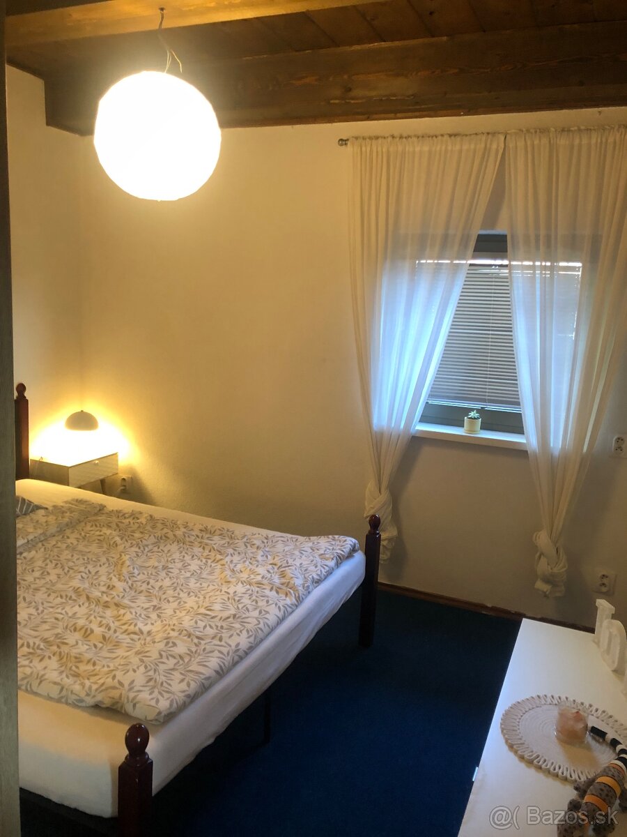 Krátkodobý prenájom aj s domácim miláčikom - 4