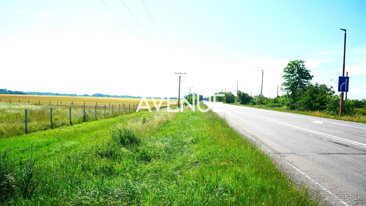 AVENUE | rovinatý pozemok v katastri mestskej časti Čuňovo. - 4