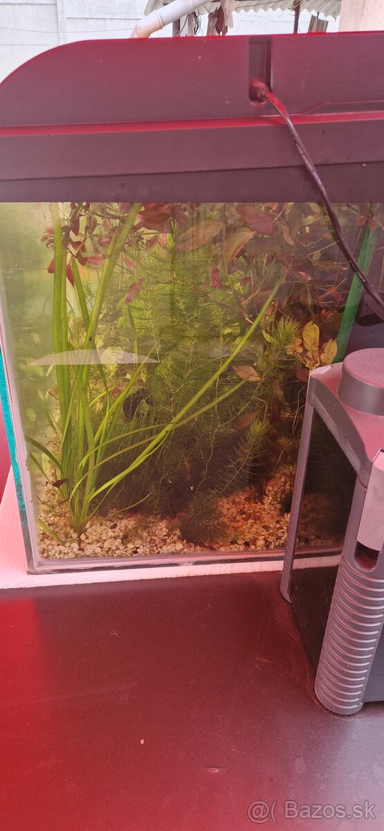 Akvárium 180L - 4