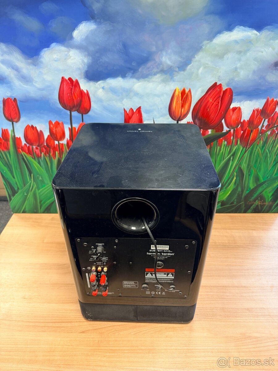 Subwoofer Harman/Kardon - 4