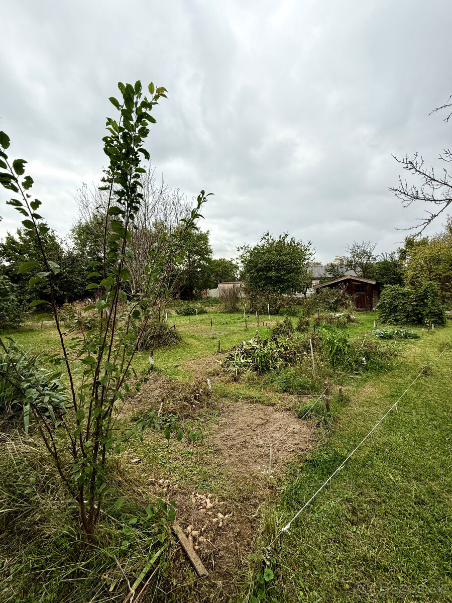 Výborná investičná príležitosť - 4