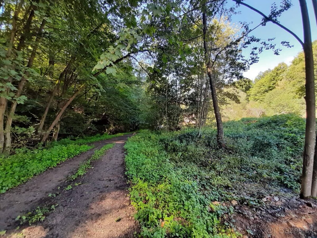 Predám pozemok pri lese Banská Hodruša - 4