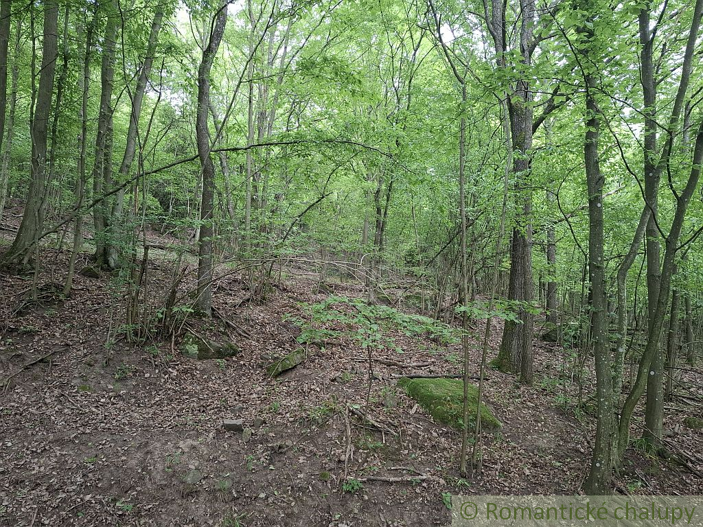 NOVÁ CENA Rozsiahle lesné pozemky v Podpoľaní - 4