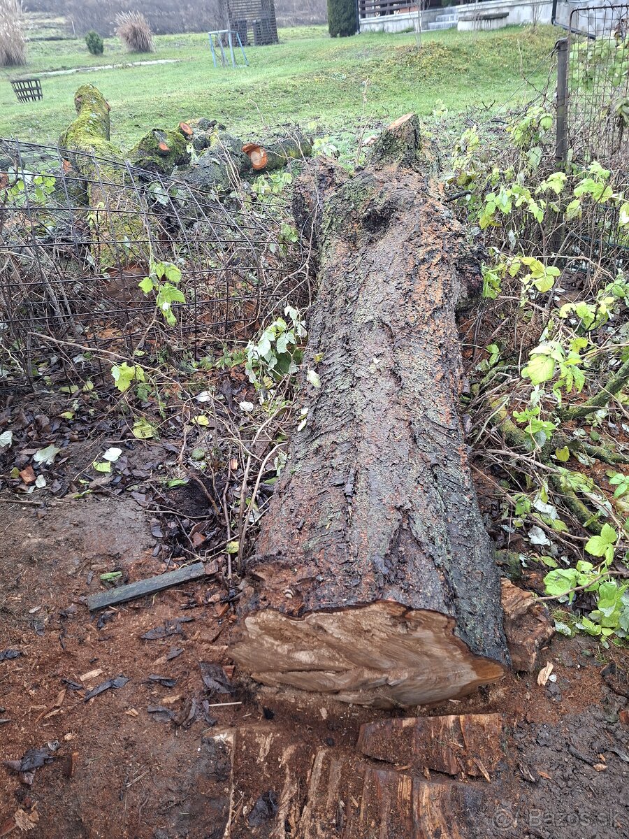 Čerešňová drevo - 4