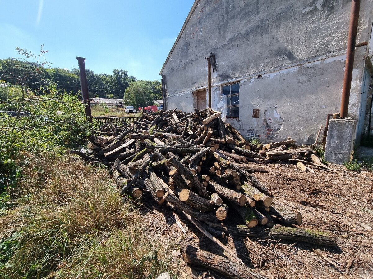 Palivové drevo metrovica dub buk cer - 4