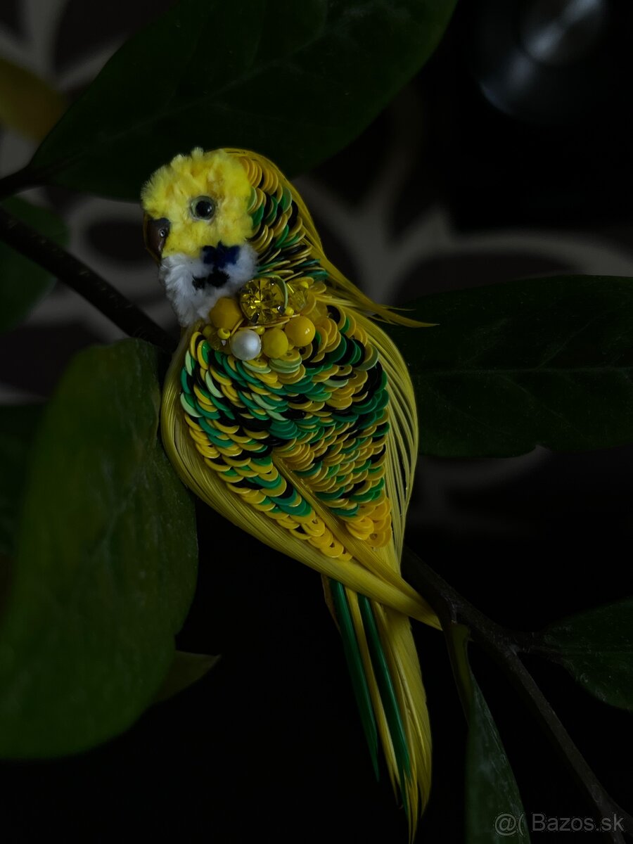 brosña papagáj - 4