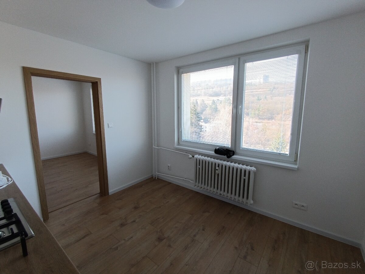 Prenájom 1 izbového bytu - 4