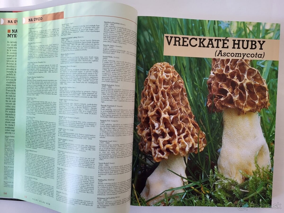 Veľký atlas húb - 4